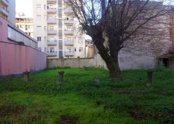 Terreno - Villa Gallarate - foto 5