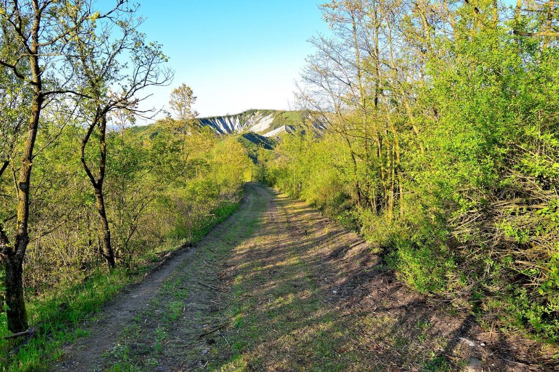 Casa indipendente Via Castello 6397, Valsamoggia (zona Modena Est) - foto 2