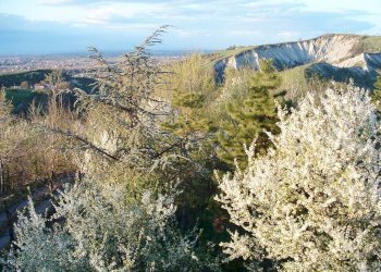 Casa indipendente Via Castello 6397, Valsamoggia (zona Modena Est) - foto 18