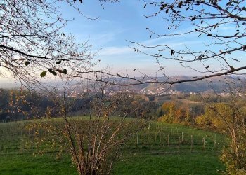 Farmhouse Dogliani - photo 3