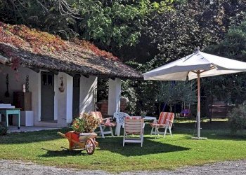 Farmhouse Dogliani - photo 14