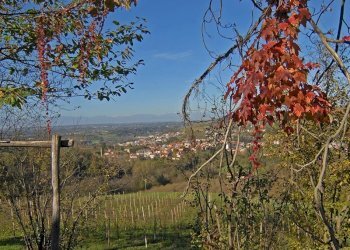 Farmhouse Dogliani - photo 21