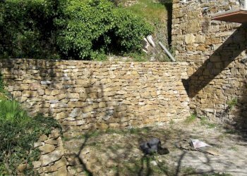 Terreno - Rustico SP63, Apricale - foto 6