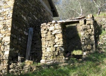 Terreno - Rustico SP63, Apricale - foto 7