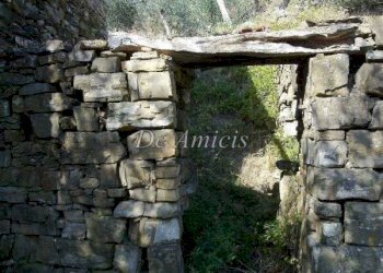 Terreno - Rustico SP63, Apricale - foto 8