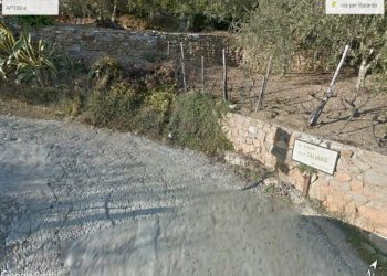 Terreno - Rustico SP63, Apricale - foto 22