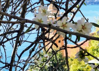 Independent house Piazza Angeli Custodi, 3, hamlet Grimaldi, Ventimiglia - photo 26