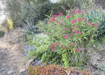 Independent house Piazza Angeli Custodi, 3, hamlet Grimaldi, Ventimiglia - photo 31
