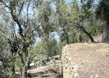 Independent house Piazza Angeli Custodi, 3, hamlet Grimaldi, Ventimiglia - photo 29