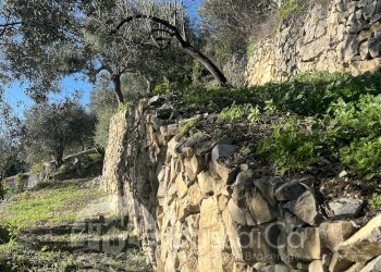 Independent house Piazza Angeli Custodi, 3, hamlet Grimaldi, Ventimiglia - photo 34