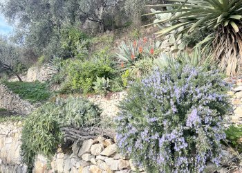 Independent house Piazza Angeli Custodi, 3, hamlet Grimaldi, Ventimiglia - photo 35