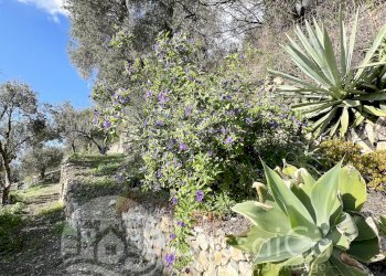 Independent house Piazza Angeli Custodi, 3, hamlet Grimaldi, Ventimiglia - photo 38