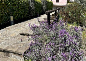 Villa Unifamiliare Contrada San Leonardo, Pollica - foto 17