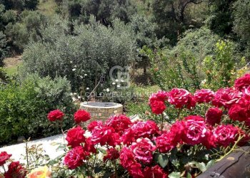 Villa Unifamiliare Contrada San Leonardo, Pollica - foto 21