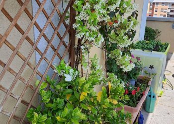 Appartamento Via Mameli, Busto Arsizio - foto 4