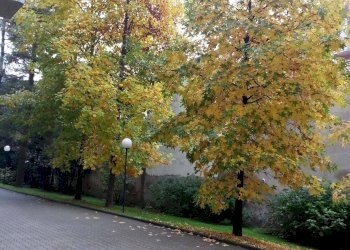 Appartamento Via Mameli, Busto Arsizio - foto 5