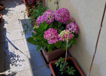 Appartamento Via Mameli, Busto Arsizio - foto 12