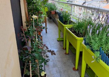 Appartamento Via Mameli, Busto Arsizio - foto 15