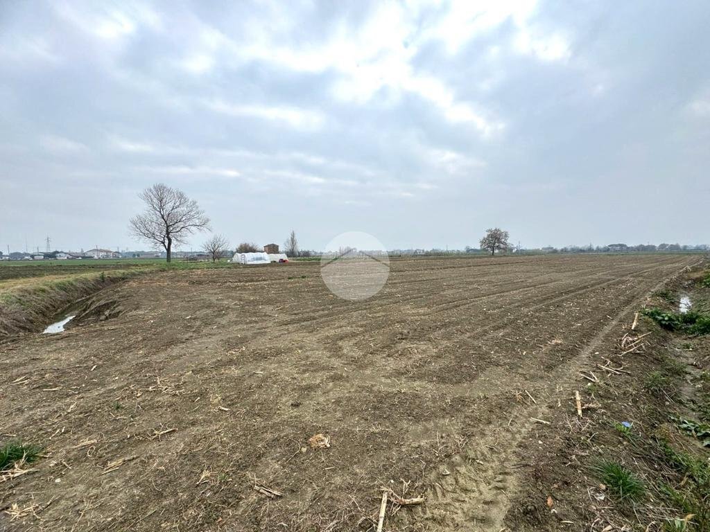 Terreno agricolo Via Selve, San Mauro Pascoli - foto 1