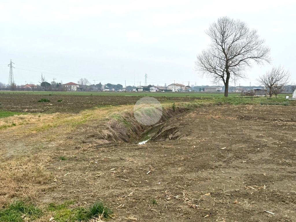 Terreno agricolo Via Selve, San Mauro Pascoli - foto 2