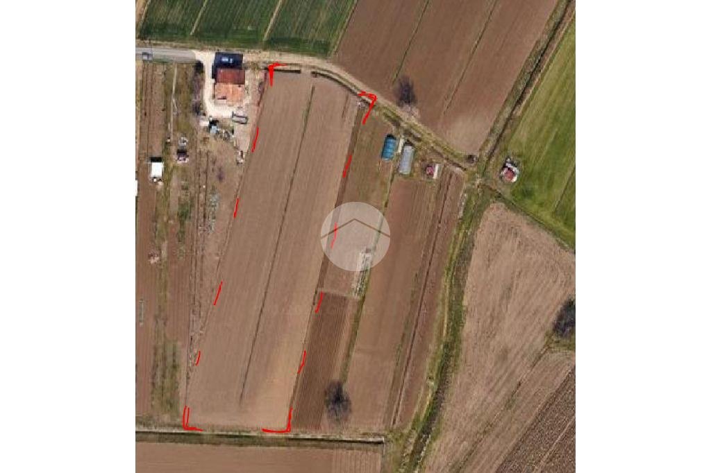 Terreno agricolo Via Selve, San Mauro Pascoli - planimetria 1