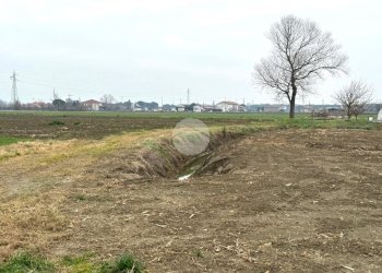 Terreno agricolo Via Selve, San Mauro Pascoli - foto 2