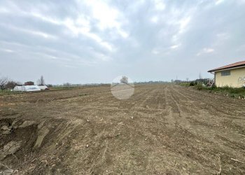 Terreno agricolo Via Selve, San Mauro Pascoli - foto 4