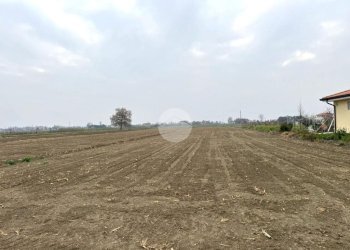 Terreno agricolo Via Selve, San Mauro Pascoli - foto 5
