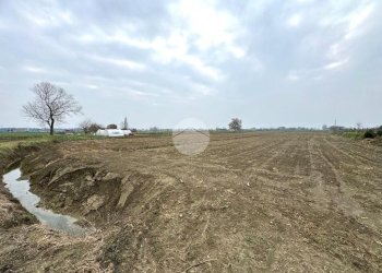 Terreno agricolo Via Selve, San Mauro Pascoli - foto 8