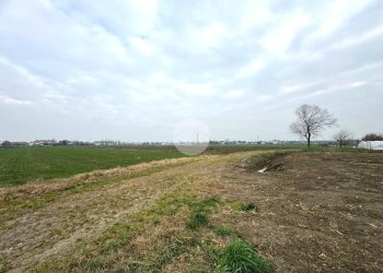 Terreno agricolo Via Selve, San Mauro Pascoli - foto 9