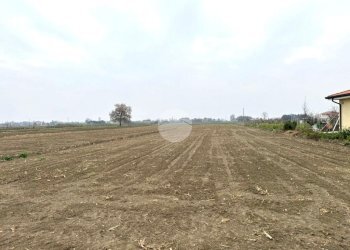 Terreno agricolo Via Selve, San Mauro Pascoli - foto 10