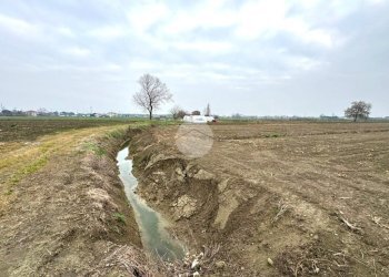 Terreno agricolo Via Selve, San Mauro Pascoli - foto 11