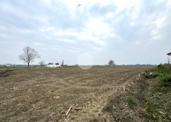 Terreno agricolo Via Selve, San Mauro Pascoli - foto 13