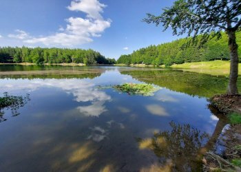 Apartment Ventasso - photo 6