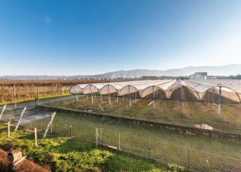 Independent house Via Staffarda, 55, Revello - photo 25