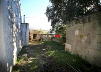 Trullo Valle D'itria, Martina Franca - foto 22