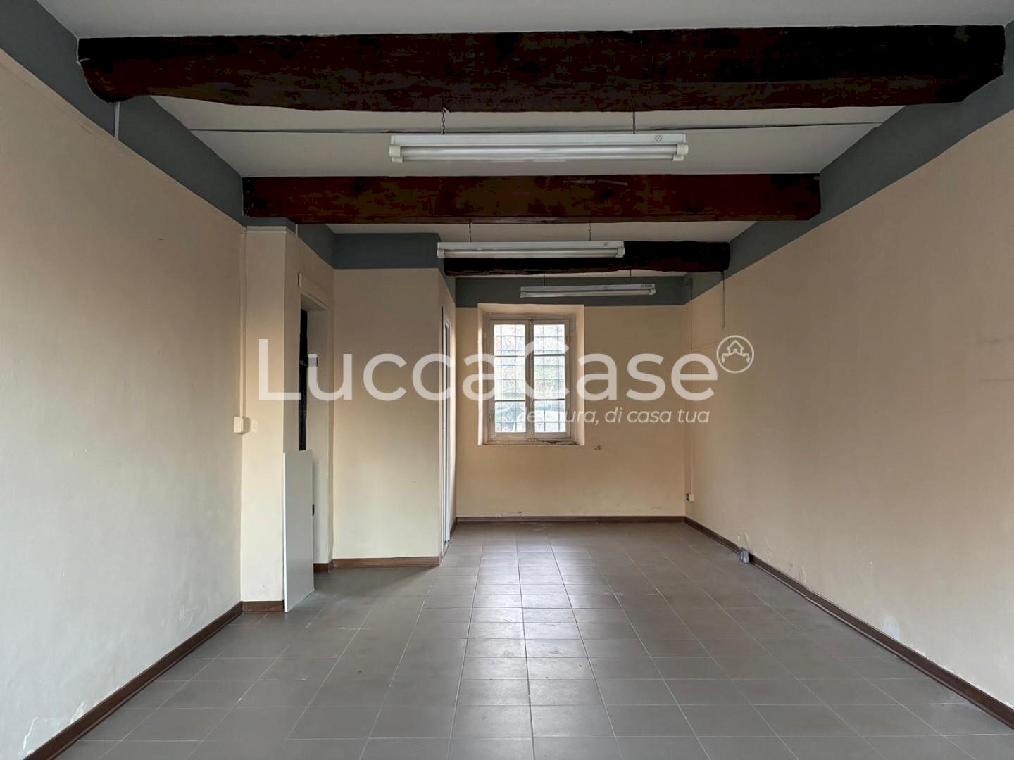Laboratorio Lucca (zona Sant'Anna) - foto 1