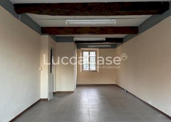 Laboratorio Lucca (zona Sant'Anna) - foto 1