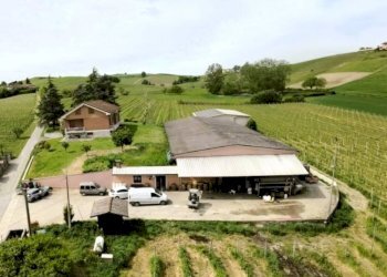 Vista - Attività Commerciale Nizza Monferrato - foto 16