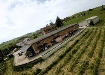 Terreno - Attività Commerciale Nizza Monferrato - foto 1