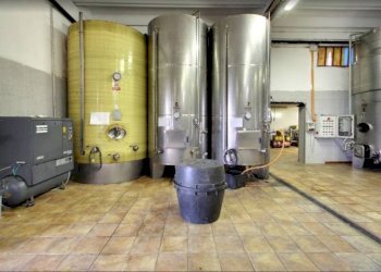 Interno non residenziale - Attività Commerciale Nizza Monferrato - foto 5