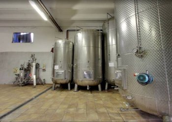 Interno non residenziale - Attività Commerciale Nizza Monferrato - foto 6