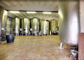 Interno non residenziale - Attività Commerciale Nizza Monferrato - foto 8