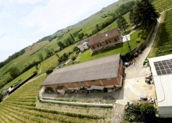 Vista - Attività Commerciale Nizza Monferrato - foto 13