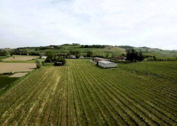 Terreno - Attività Commerciale Nizza Monferrato - foto 14