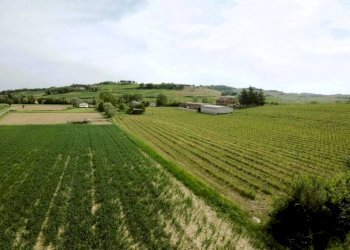 Terreno - Attività Commerciale Nizza Monferrato - foto 15