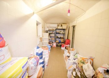 Box auto - Panificio - Pastificio via Giuseppe Mazzini, 50, Torrazza Piemonte - foto 24