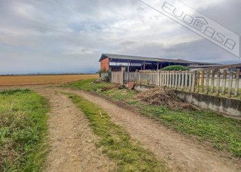 Villa via Nuova snc, Cavour - foto 58