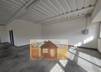 Interno non residenziale - Warehouse via dell'Artigianato, Poggio a Caiano - photo 20