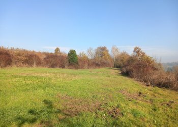 Cascina Frazione Morialdo, Castelnuovo Don Bosco - foto 5